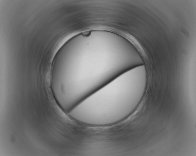 X0000114581244200910191048
