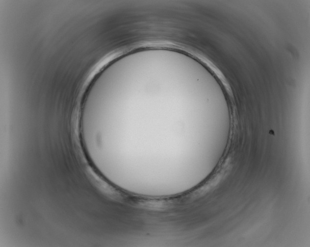 X0000114581245200910191048