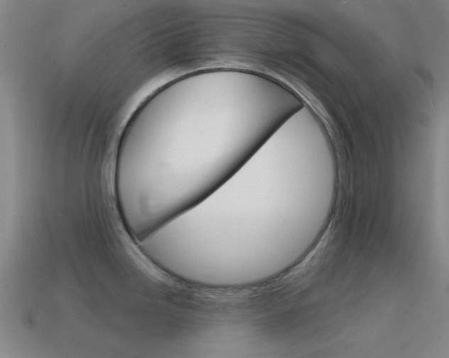 X0000114581246200910191048