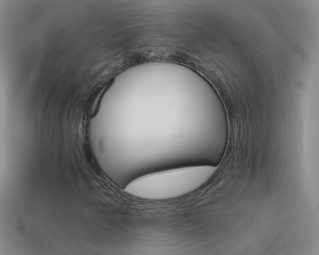 X0000114581250200910191047