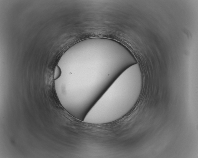 X0000114581251200910191047