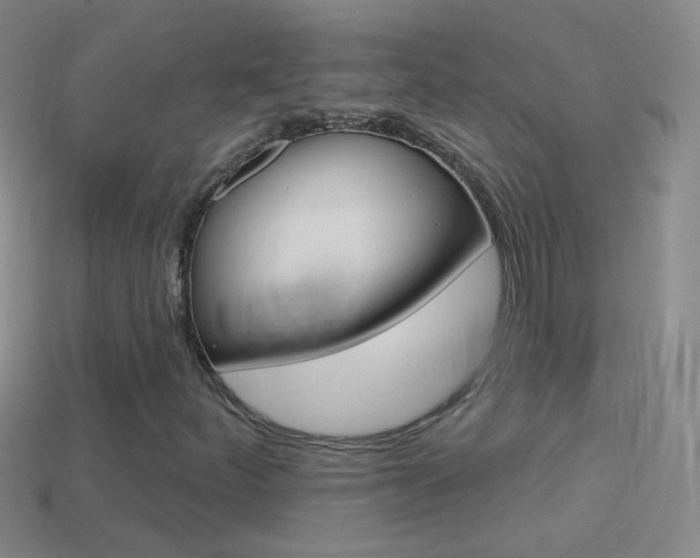 X0000114581252200910191047