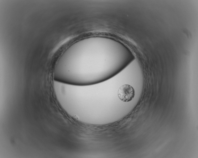 X0000114581255200910191047