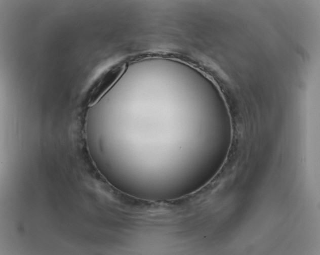 X0000114581256200910191047