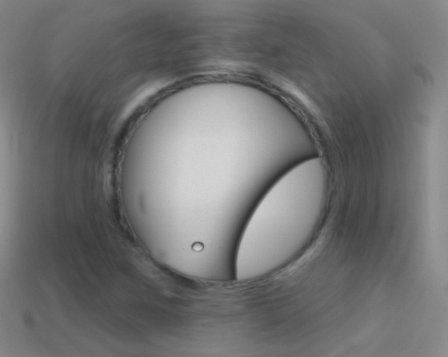 X0000114581259200910191047