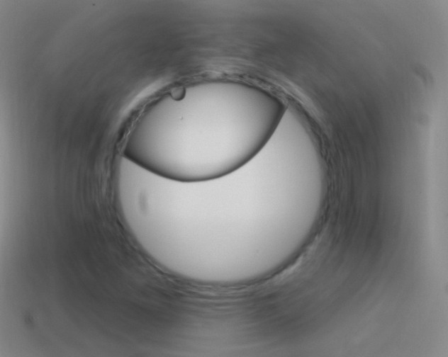 X0000114581261200910191047