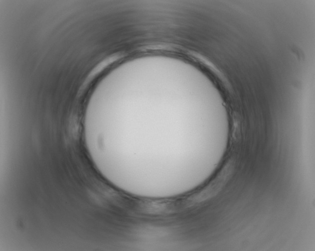 X0000114581266200910191047