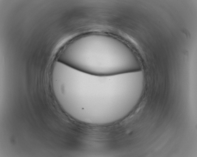 X0000114581267200910191047
