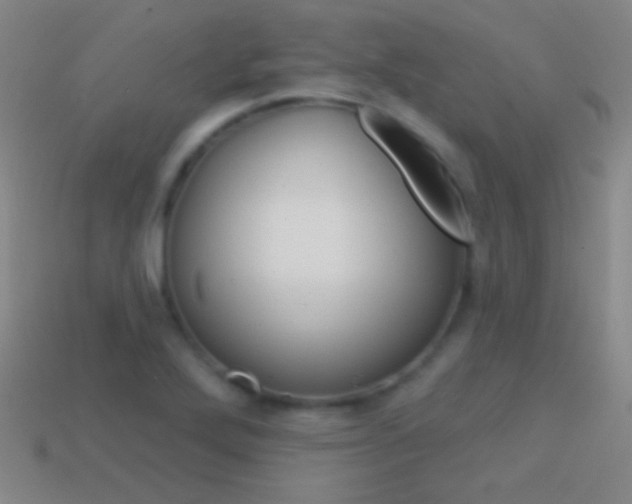 X0000114581272200910191047