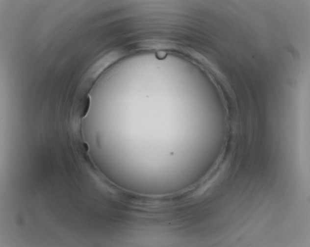X0000114581273200910191047