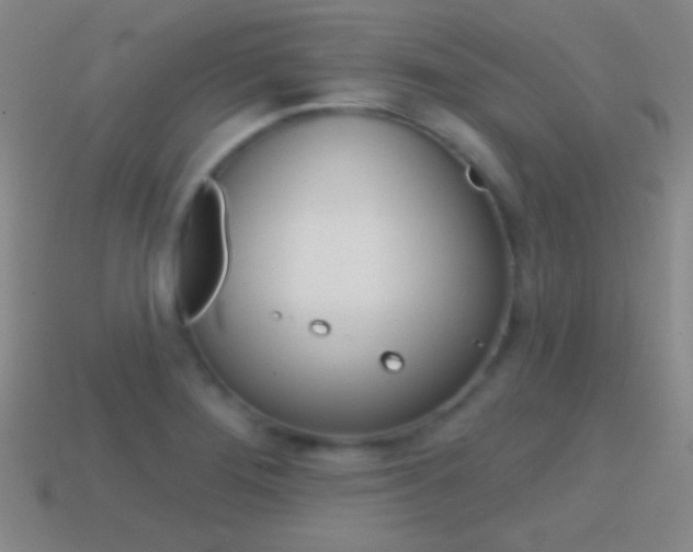 X0000114581276200910191047