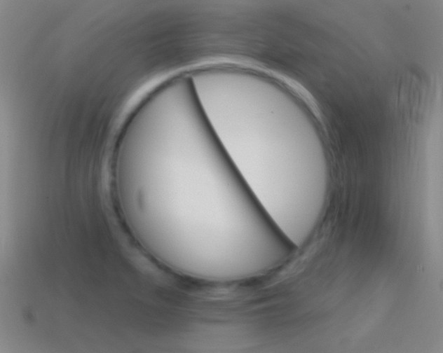X0000114581279200910191047