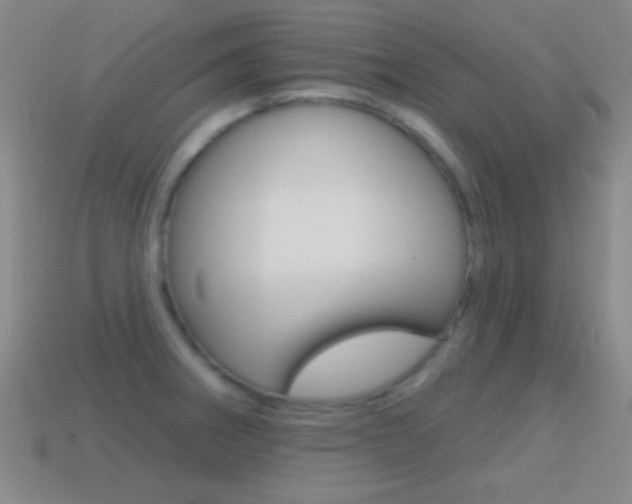 X0000114581282200910191047