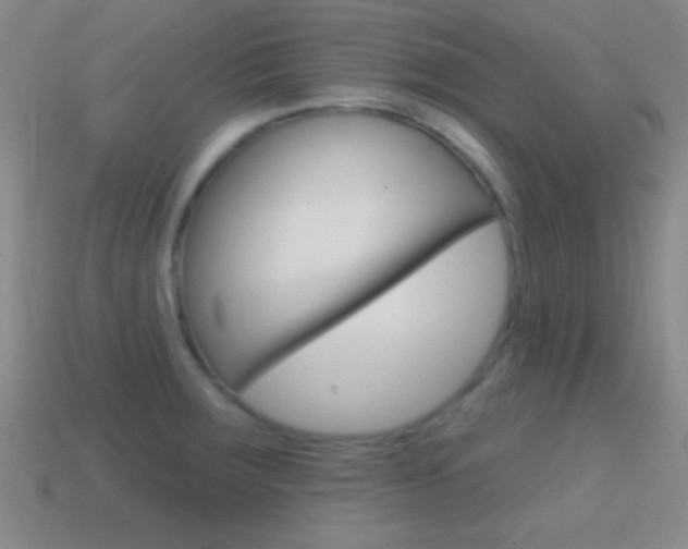 X0000114581283200910191047