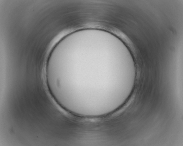 X0000114581286200910191047