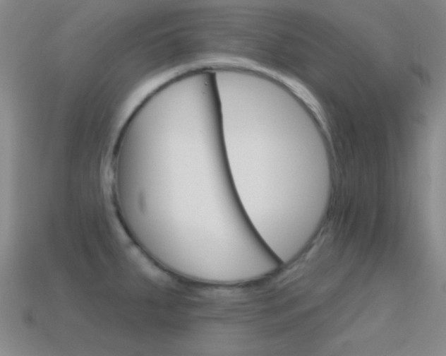 X0000114581287200910191047
