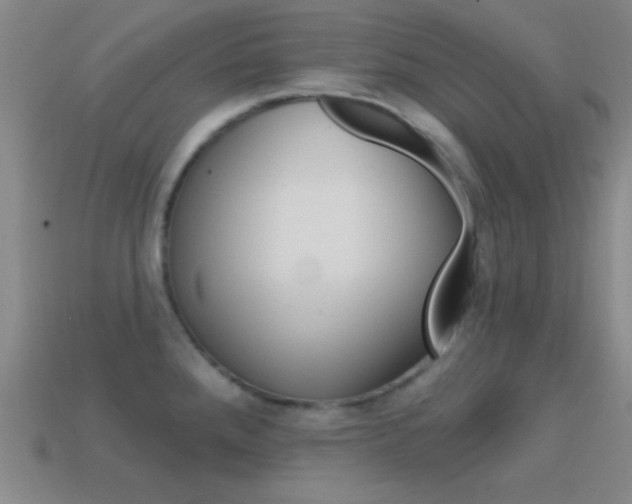 X0000114581288200910191047
