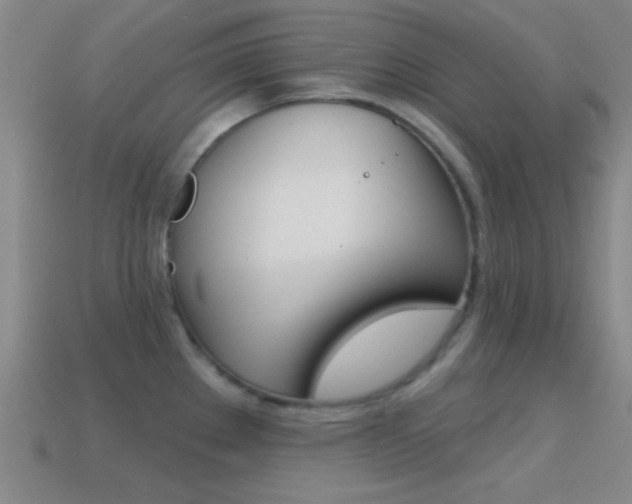 X0000114581289200910191047