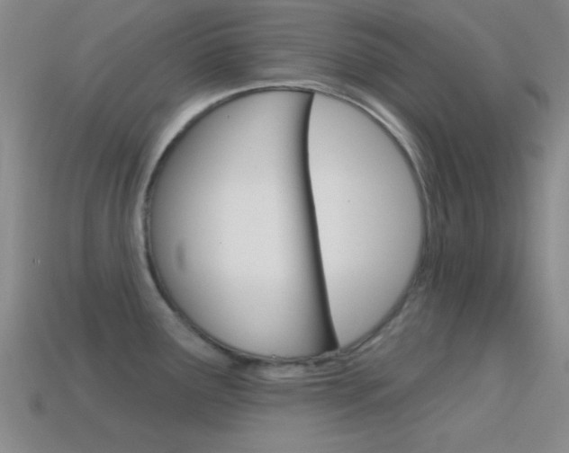 X0000114581291200910191047