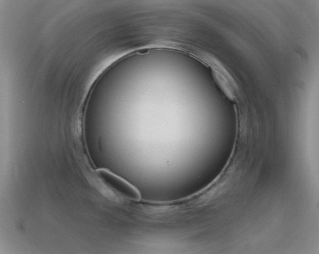 X0000114581292200910191046