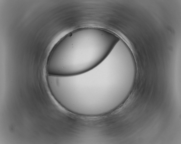 X0000114581293200910191046
