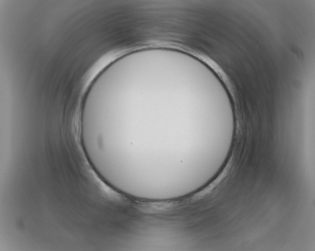 X0000114581294200910191046