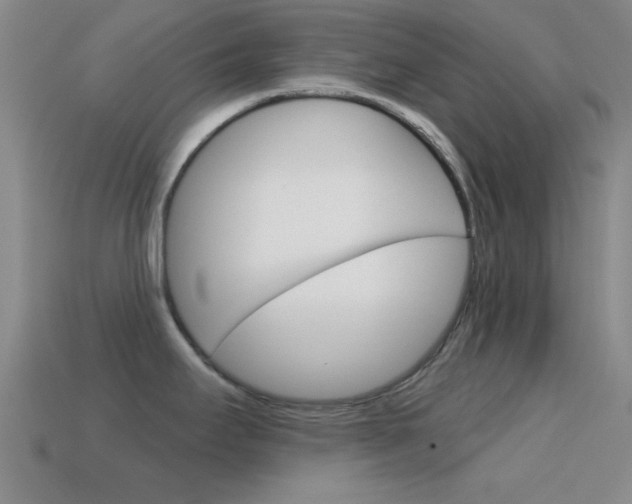 X0000114581295200910191046