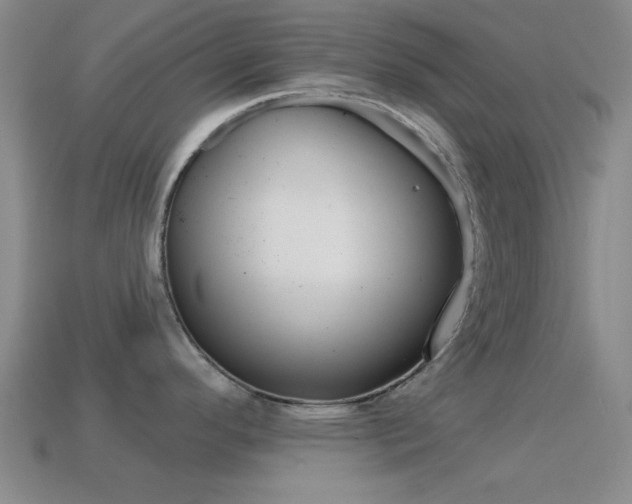 X0000114581296200910191046