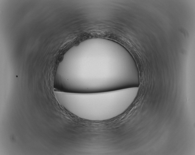 X0000114581297200910191046