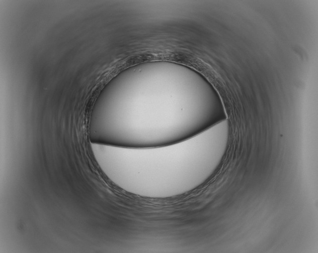 X0000114581298200910191046