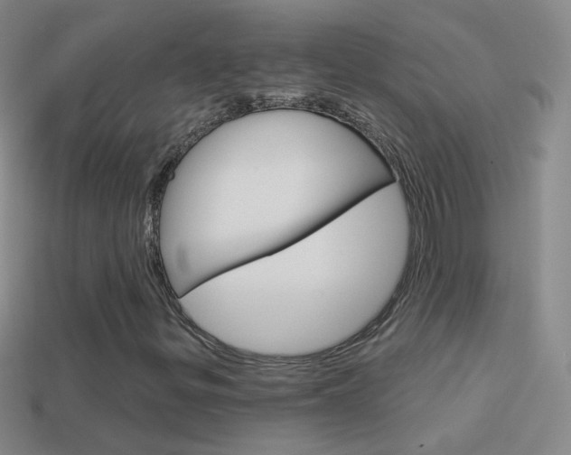 X0000114581299200910191046