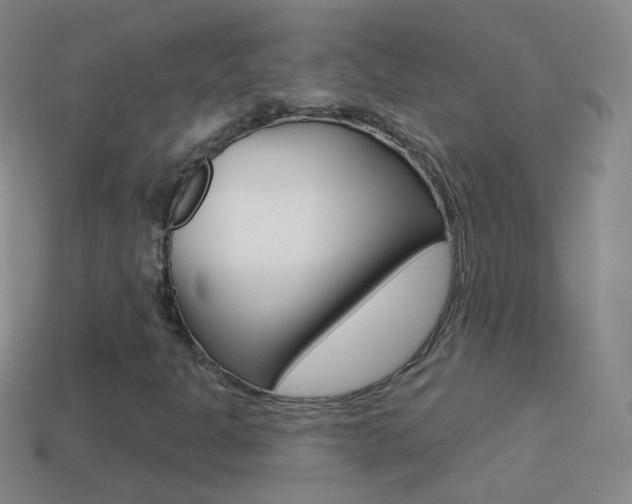 X0000114581301200910191046