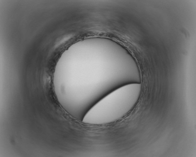 X0000114581302200910191046