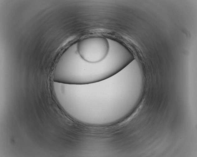 X0000114581305200910191046
