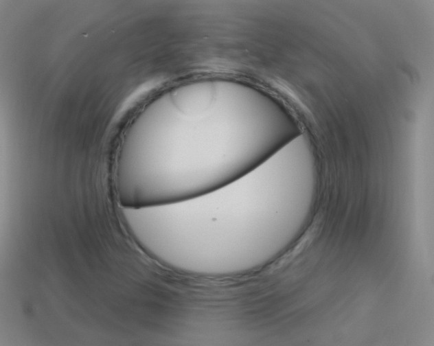 X0000114581307200910191046