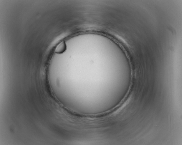 X0000114581309200910191046