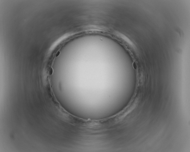 X0000114581310200910191046
