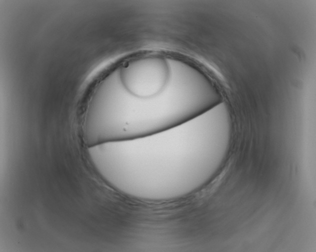 X0000114581311200910191046
