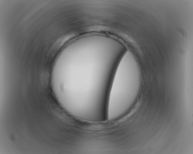 X0000114581313200910191046