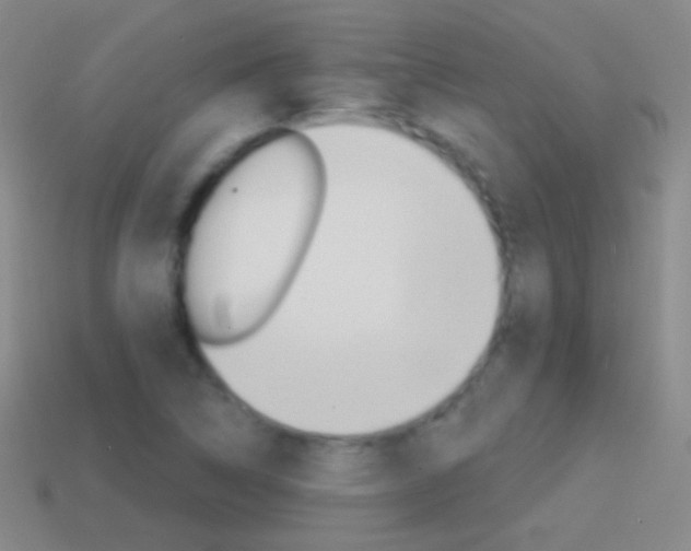 X0000114581314200910191046
