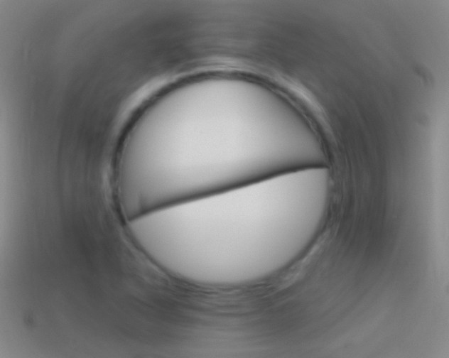 X0000114581318200910191046