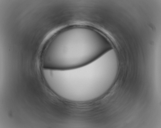 X0000114581319200910191046