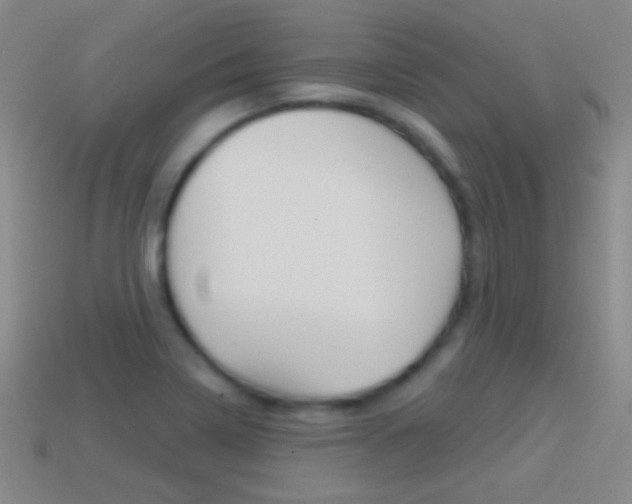 X0000114581322200910191046