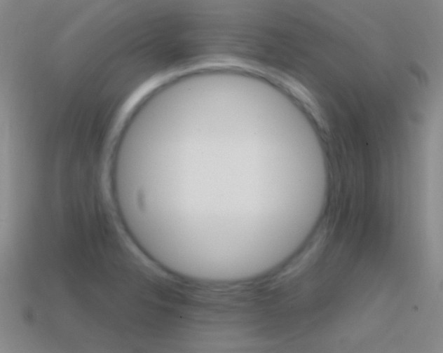 X0000114581326200910191046