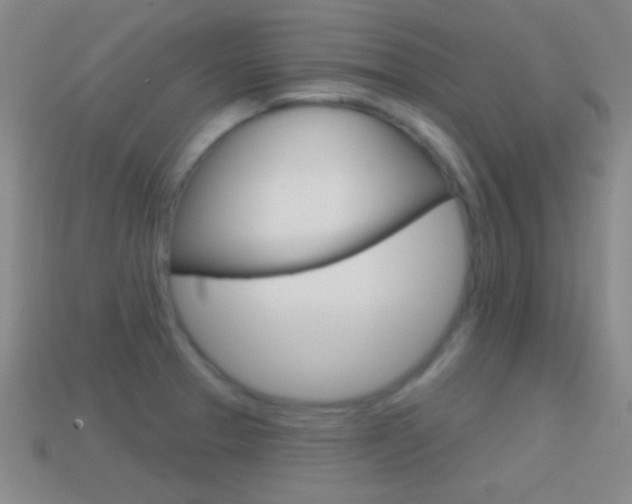 X0000114581329200910191046