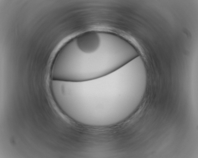 X0000114581331200910191046