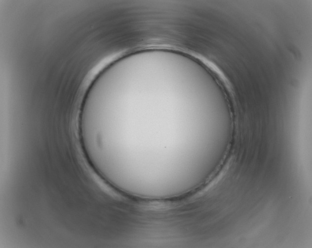 X0000114581333200910191046