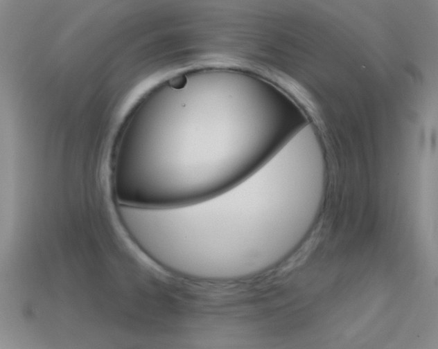 X0000114581334200910191046