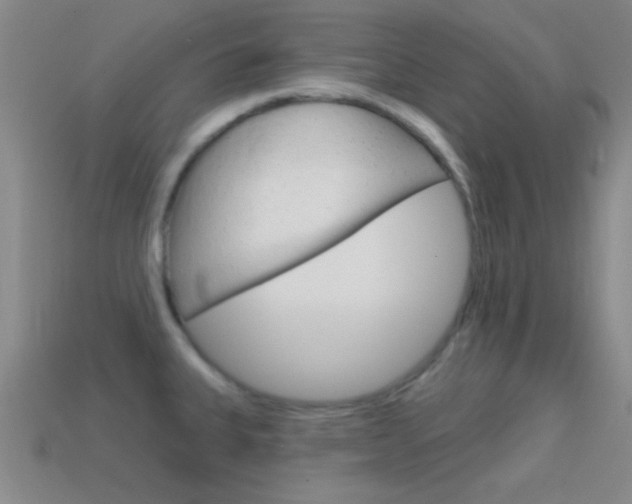 X0000114581335200910191046
