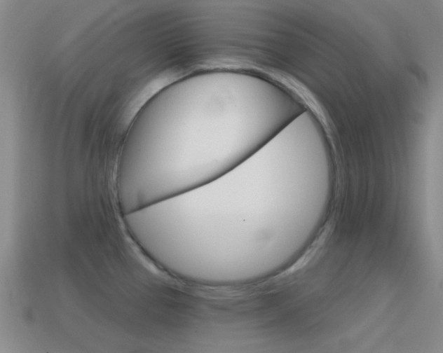 X0000114581337200910191046